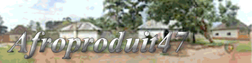 afroproduit